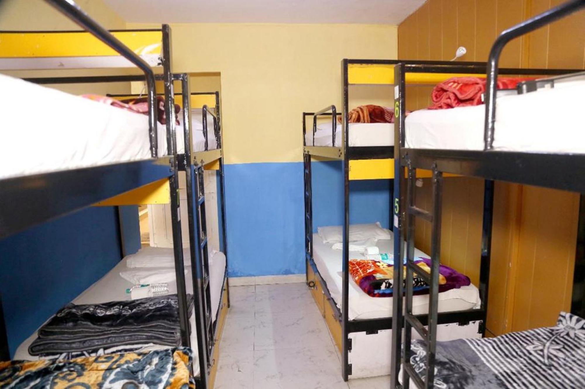 Bunk Hostel Delhi Best Backpacking Accommodation 新德里 外观 照片